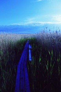 Freaks on the loose in Laajalahti !