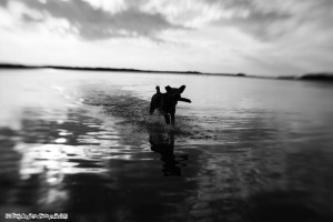 Black & White and a little inbetween.