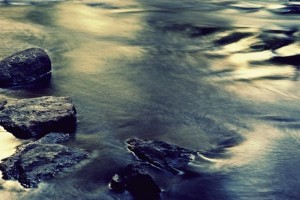 Down by the river & summernights