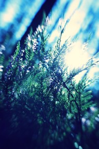 Home is where your heart is.