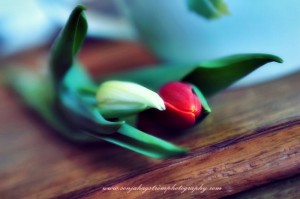 The weekend – A cause for celebration !