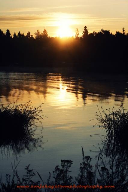 One sunny morning 4 years ago !