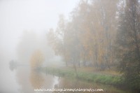Mystinen fog.